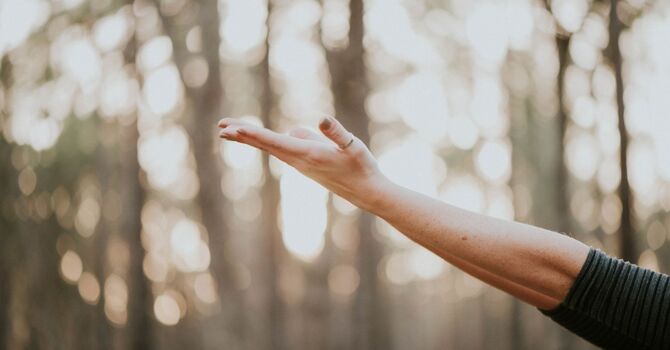 Traditional Chinese Medicine